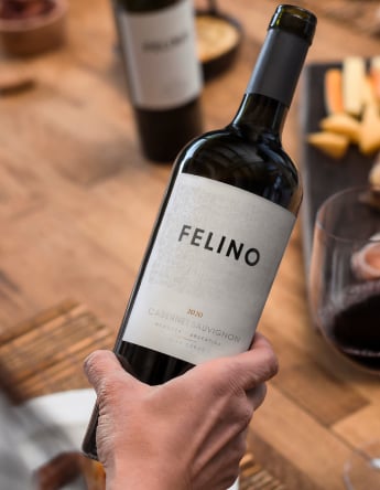 Felino cabernet imagen final mobile