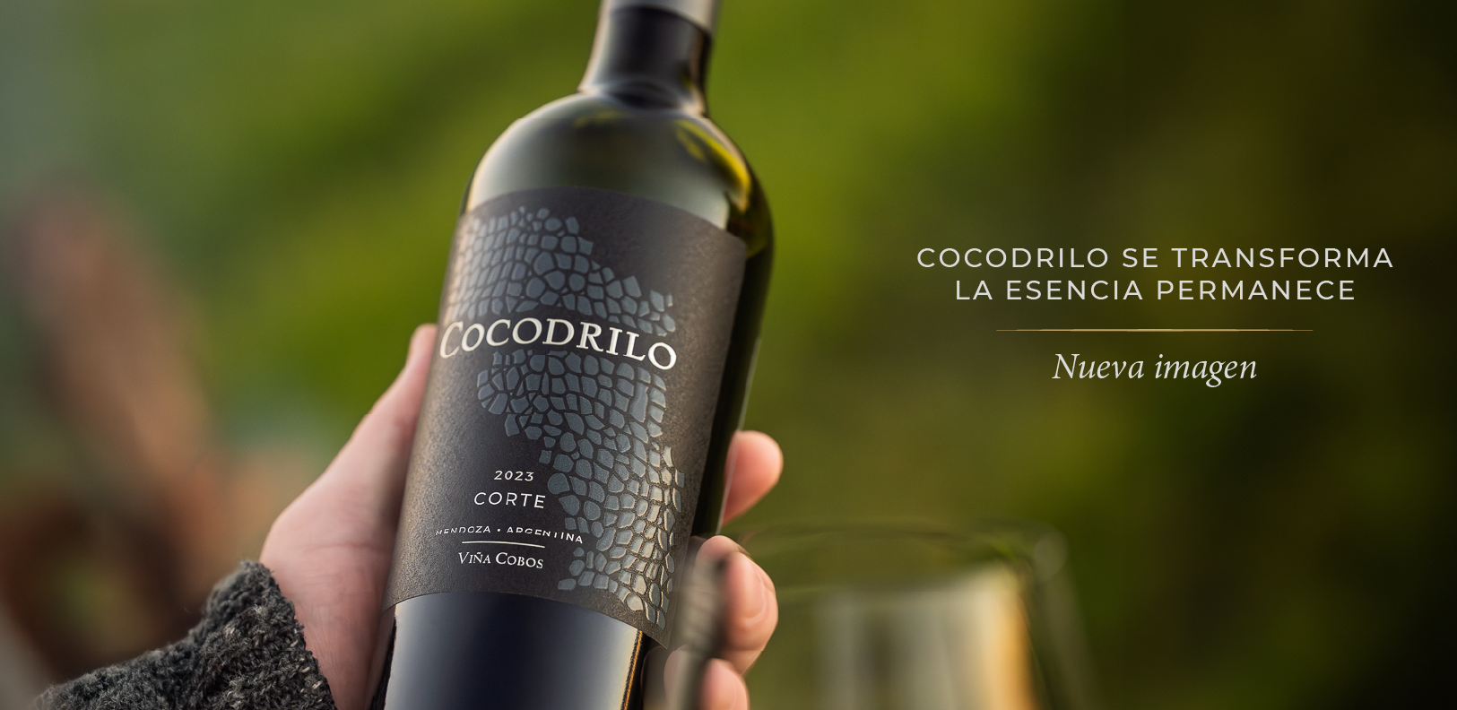 cocodrilo pop up