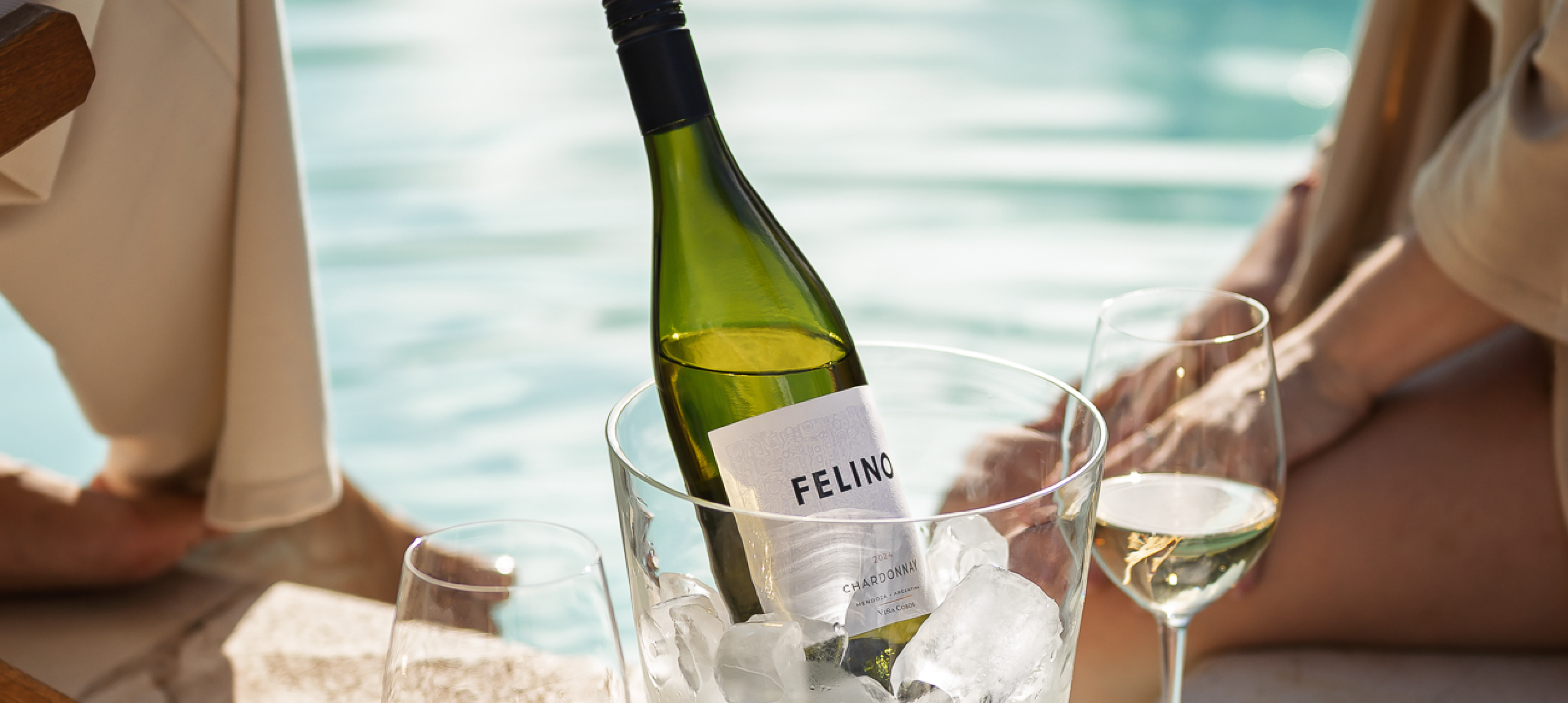 imagenes felino_imagen final desk ch