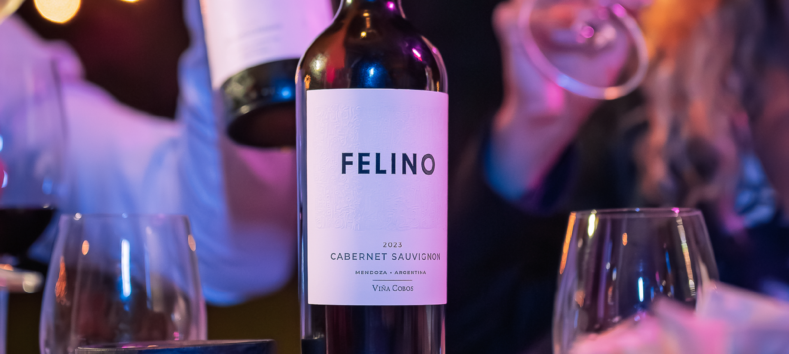 imagenes felino_imagen final desk cs