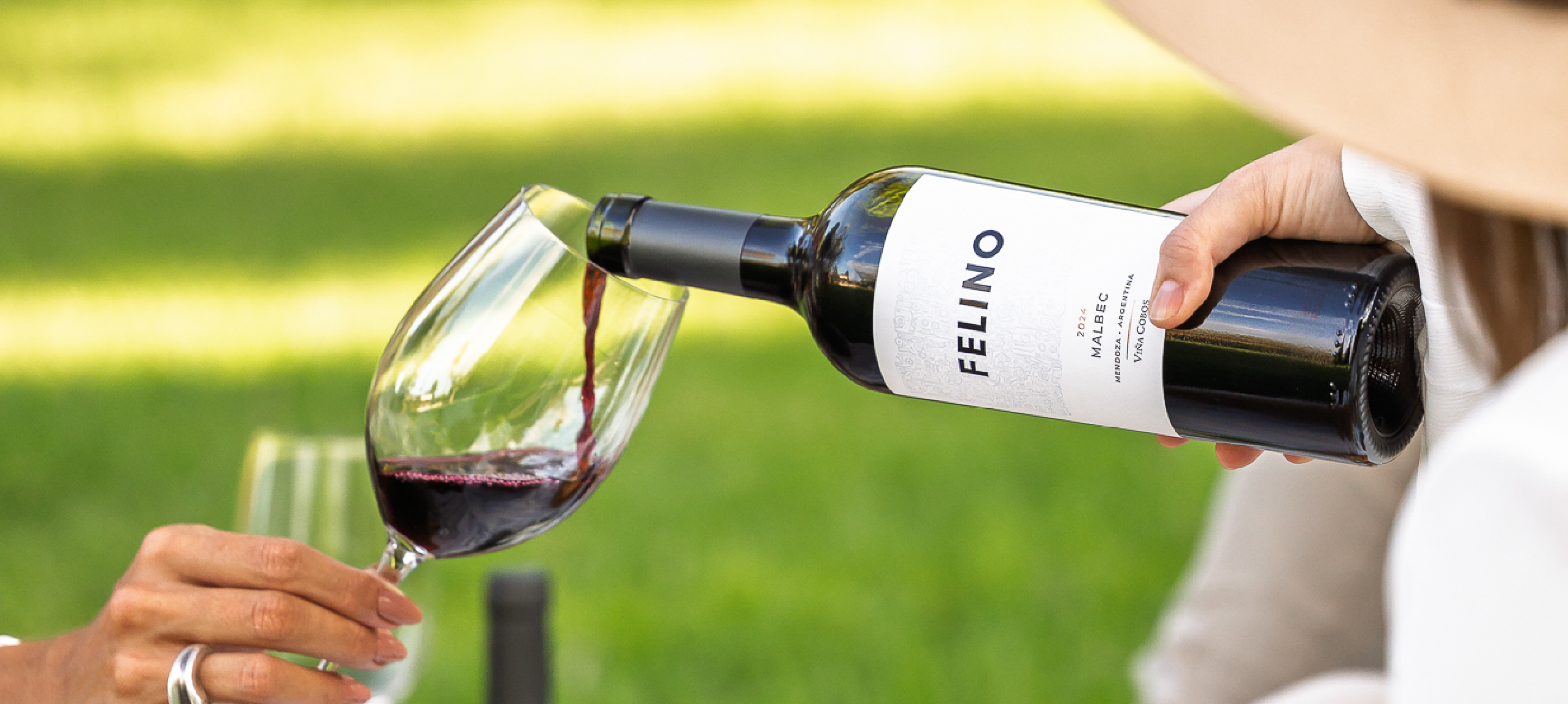 imagenes felino_imagen final desk mb