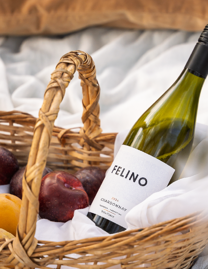 imagenes felino_imagen final mob ch