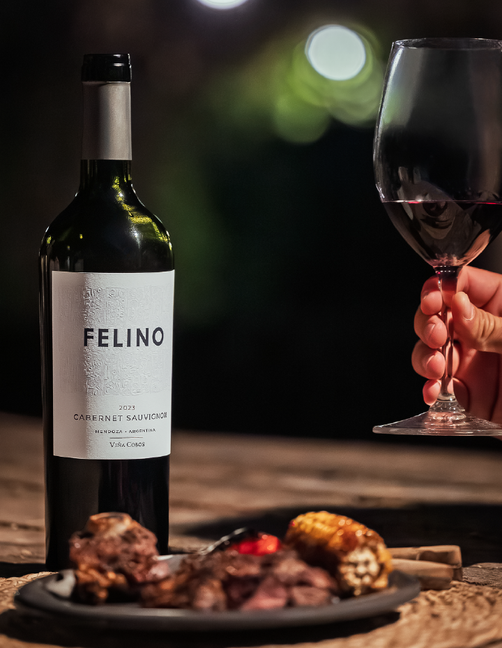 imagenes felino_imagen final mob cs