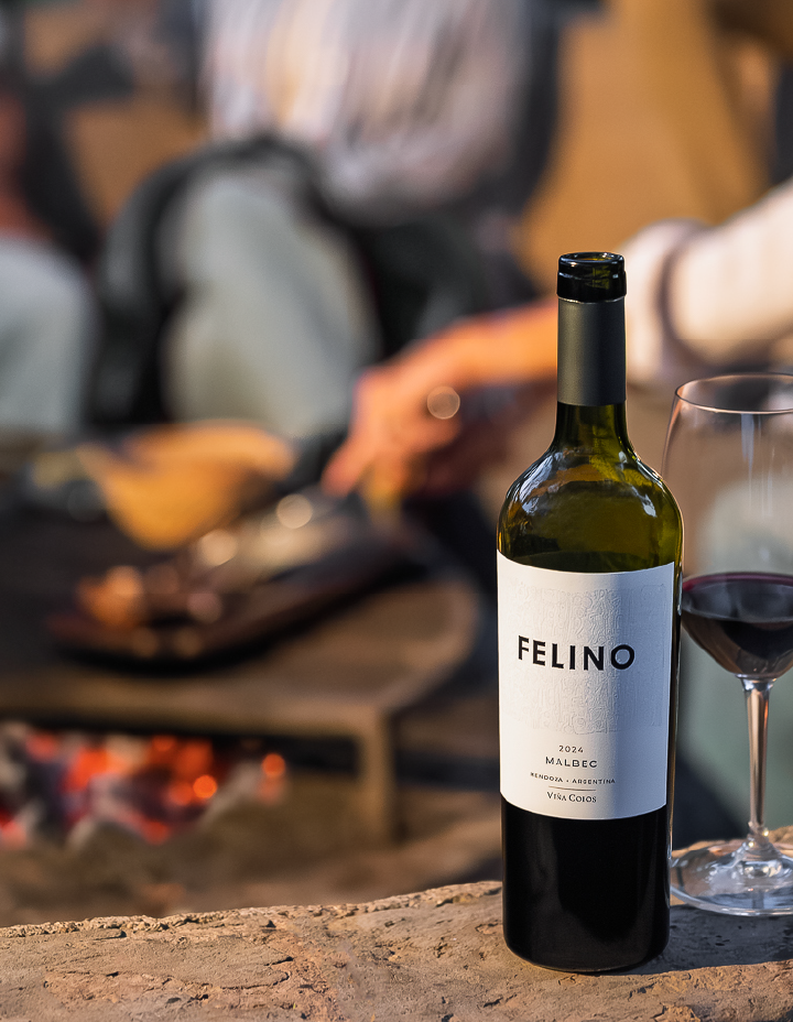 imagenes felino_imagen final mob mb